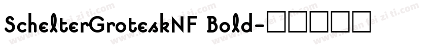 SchelterGroteskNF Bold字体转换